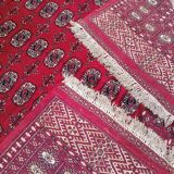 Old Afghan carpet in wool – hand-knotted – tribal patterns – 293 × 186 cm