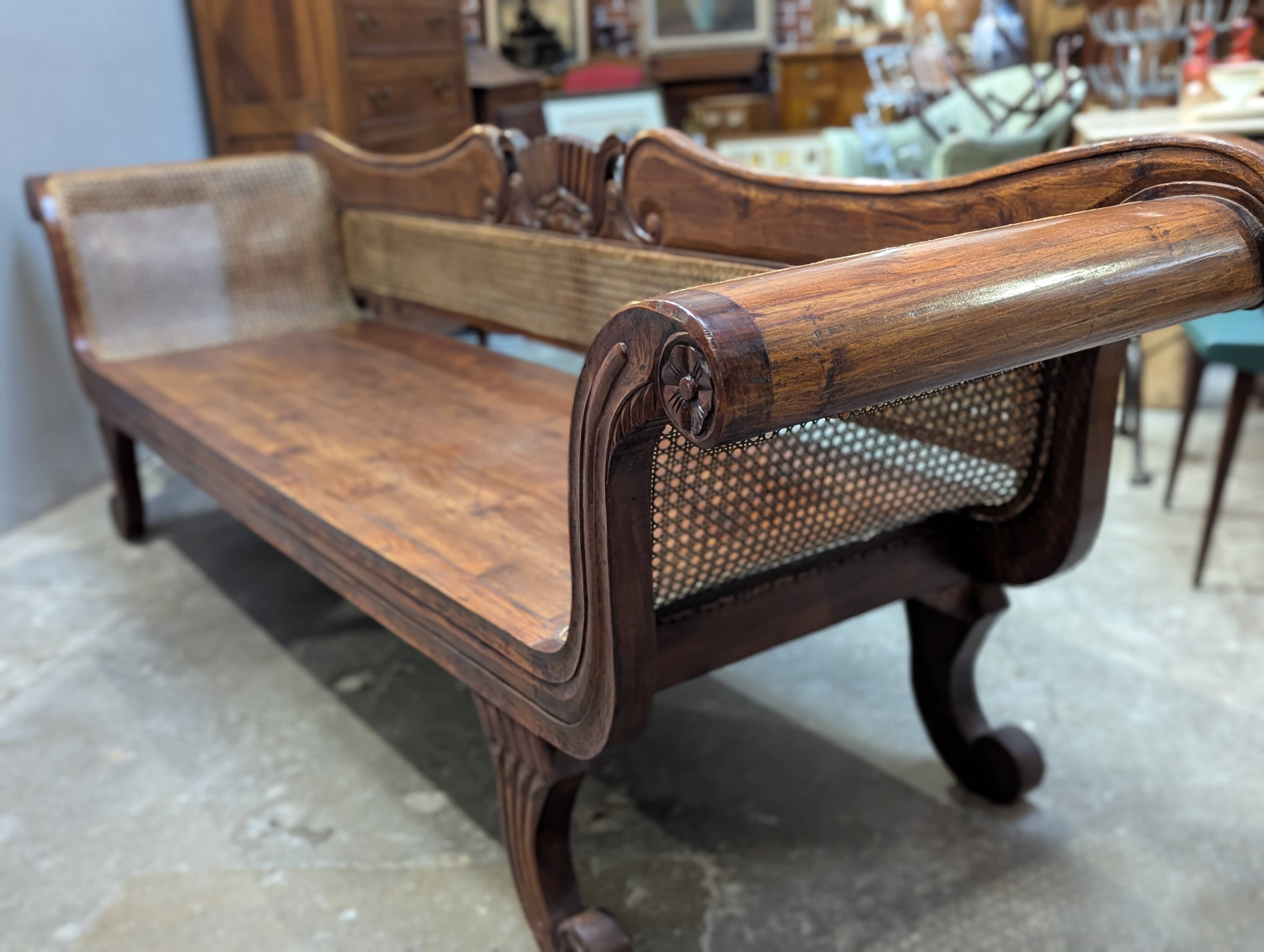 Very large colonial bans