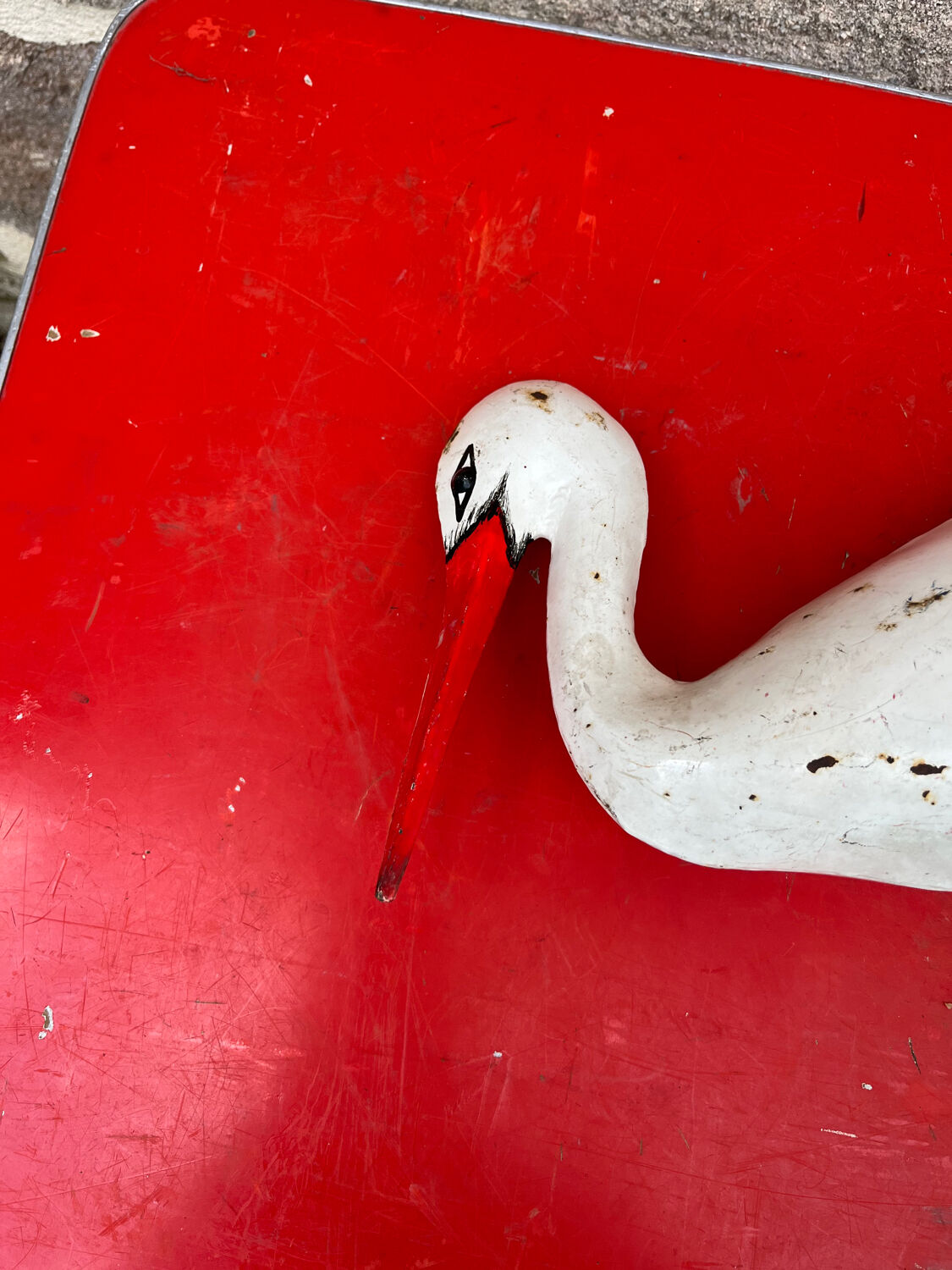 Stork plant guardian