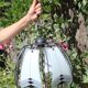 50s design metal and glass tulip ceiling light