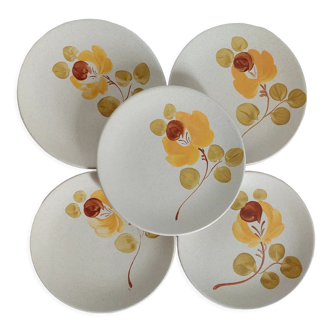 5 plates Faience St Amand Loire flowers