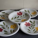 5 Vintage Italian ceramic plates Primula flowers