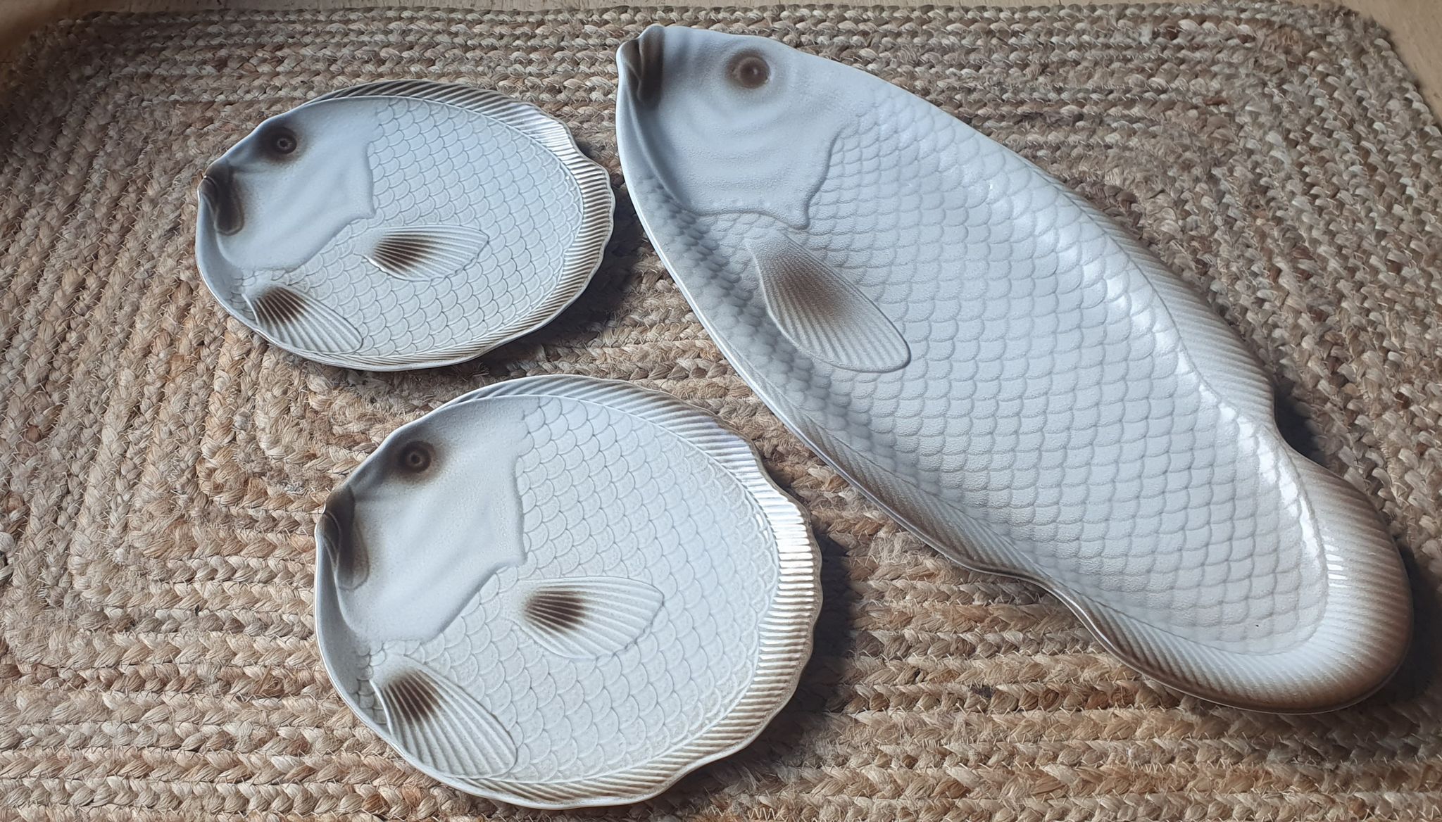 Ensemble de 12 assiettes plates et plat