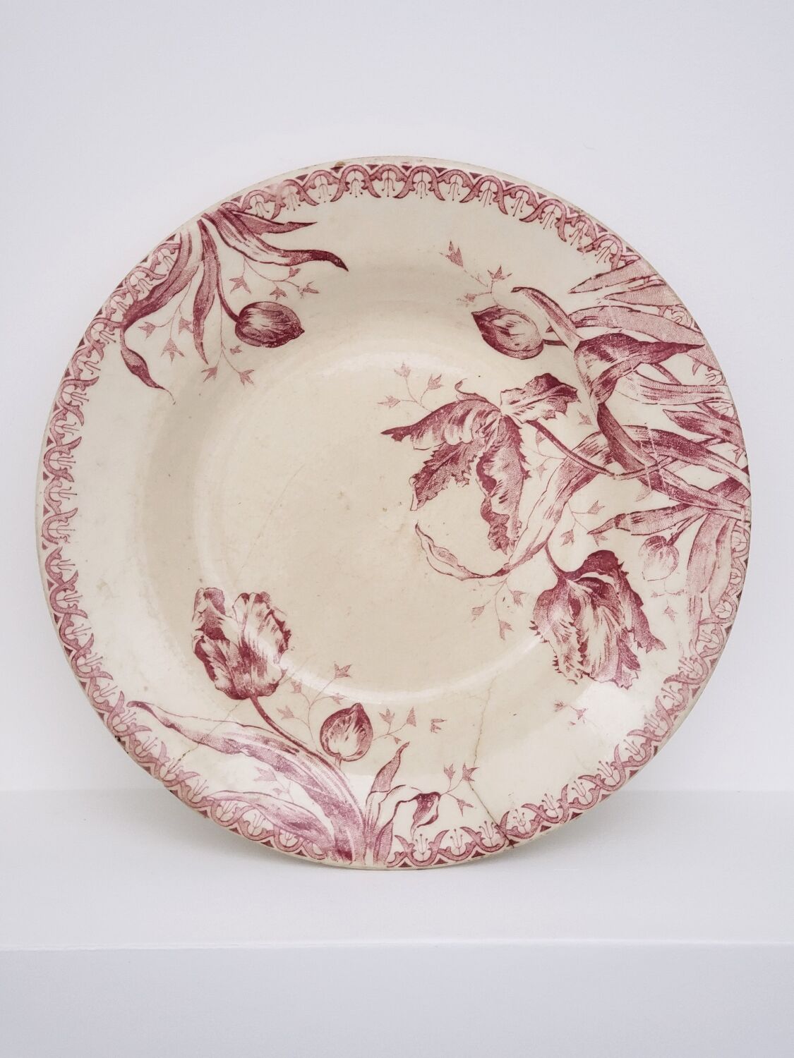 Plate iron earth of Giens