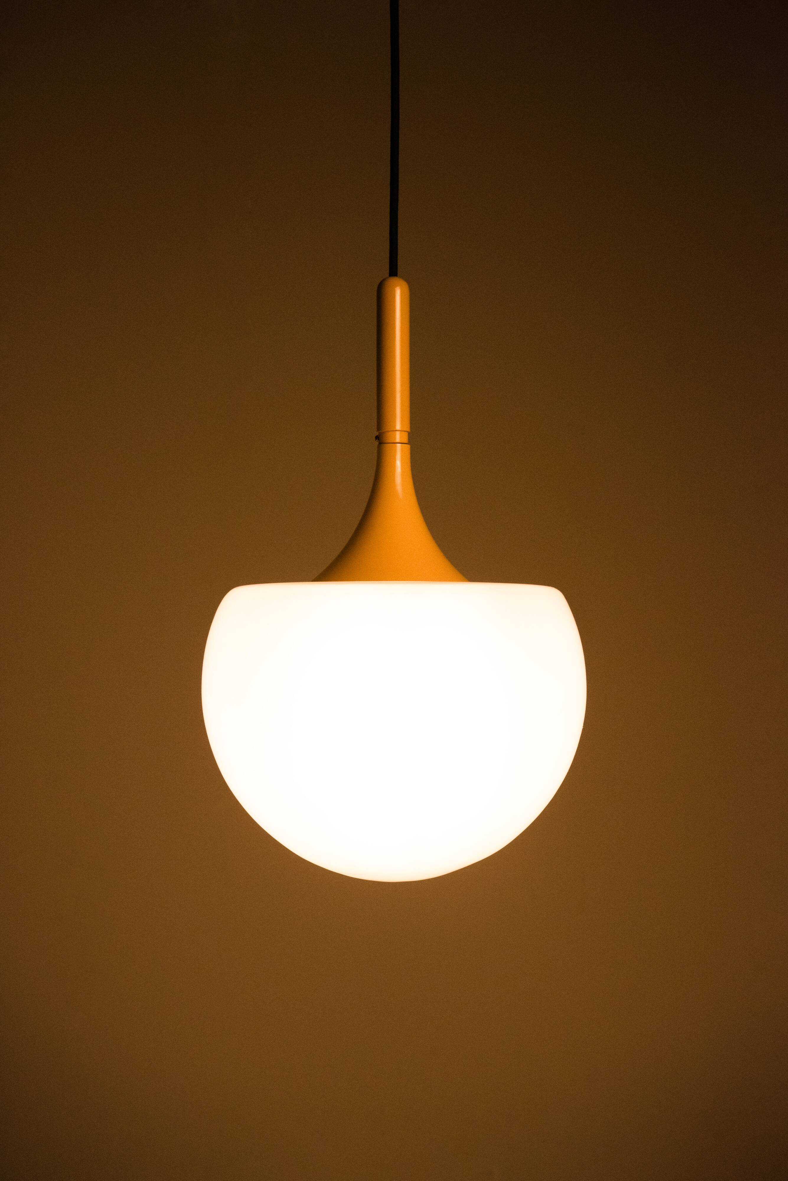 Mushroom-shaped pendant light - Elio Martinelli