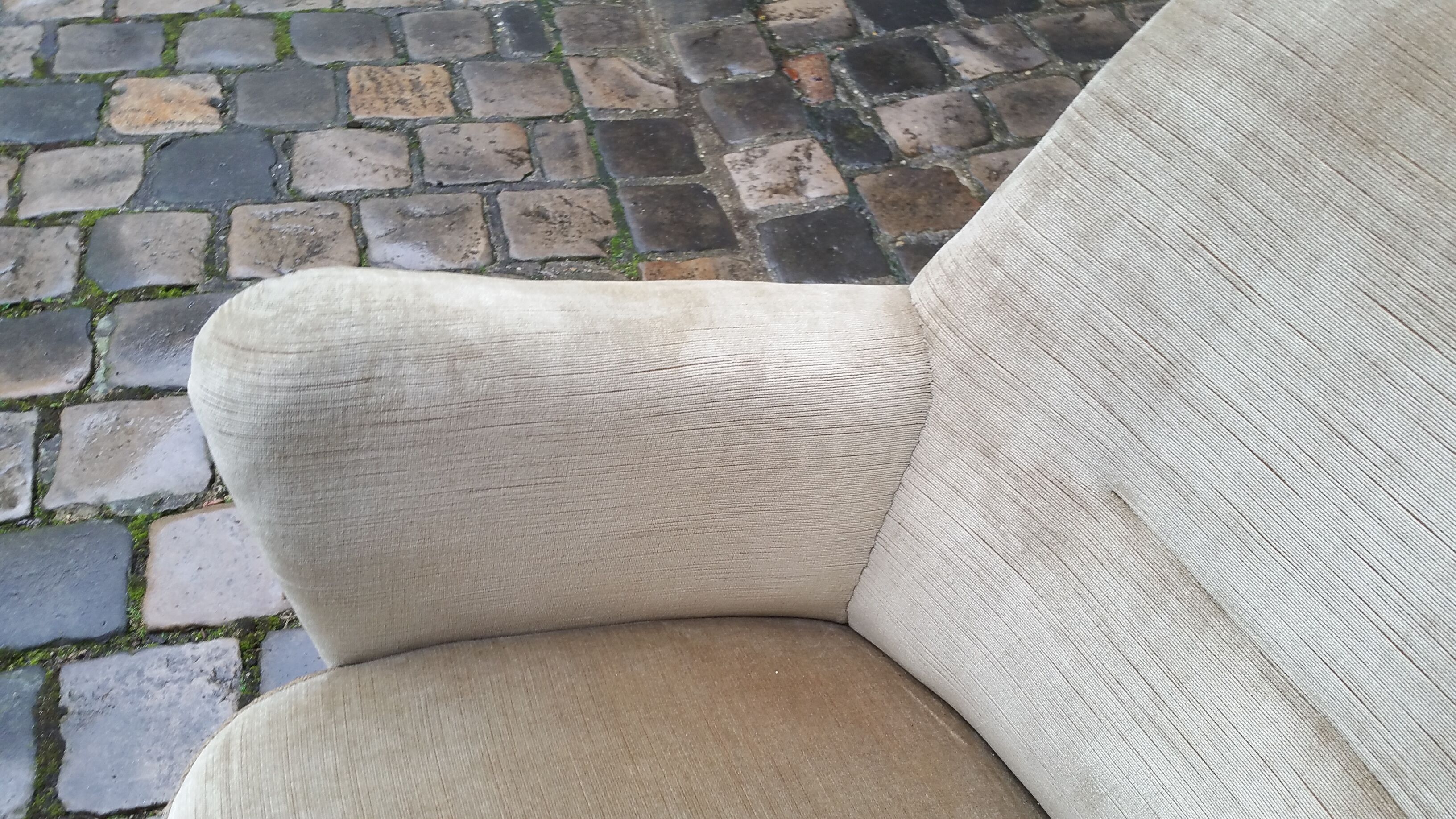 Organic year 50 glossy beige club Chair