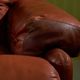 Coronado Armchair by Afra & Tobia Scarpa for B&B Italia, 1960s