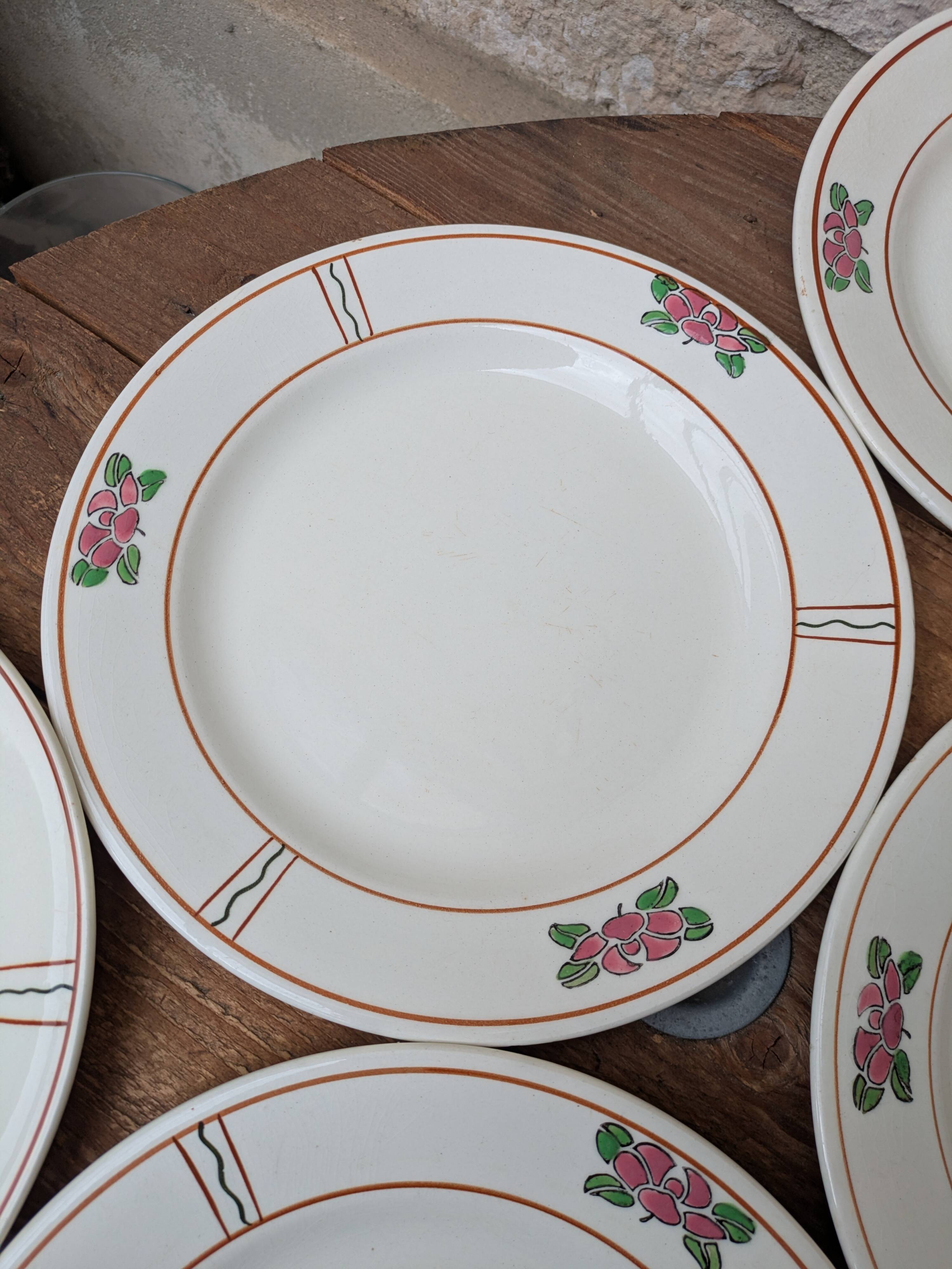 9 old flat plates in Salins ironstone model Nénuphar 24.5cm