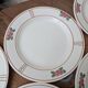 9 old flat plates in Salins ironstone model Nénuphar 24.5cm