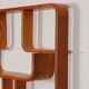 Wooden wall shelf by Ludvik Volak for Drevopodnik Holesov, 1960