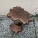 Old bedside table or plant holder vintage wood deco brutalist naturalist