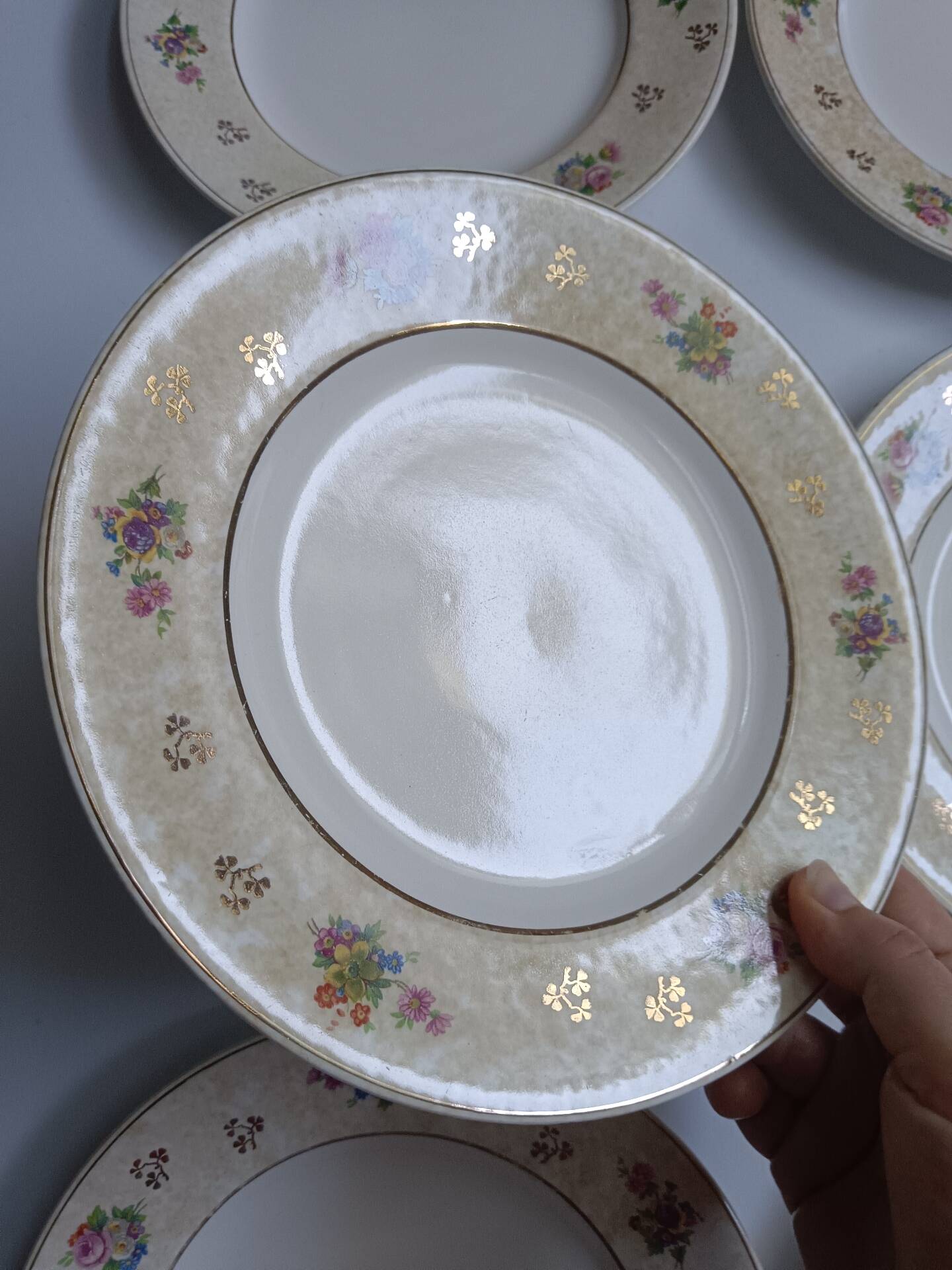 Set of 6 flat plates Salins model Simone beige with flowers.