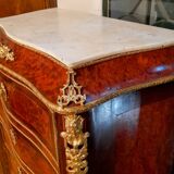 Secretary Napoleon III