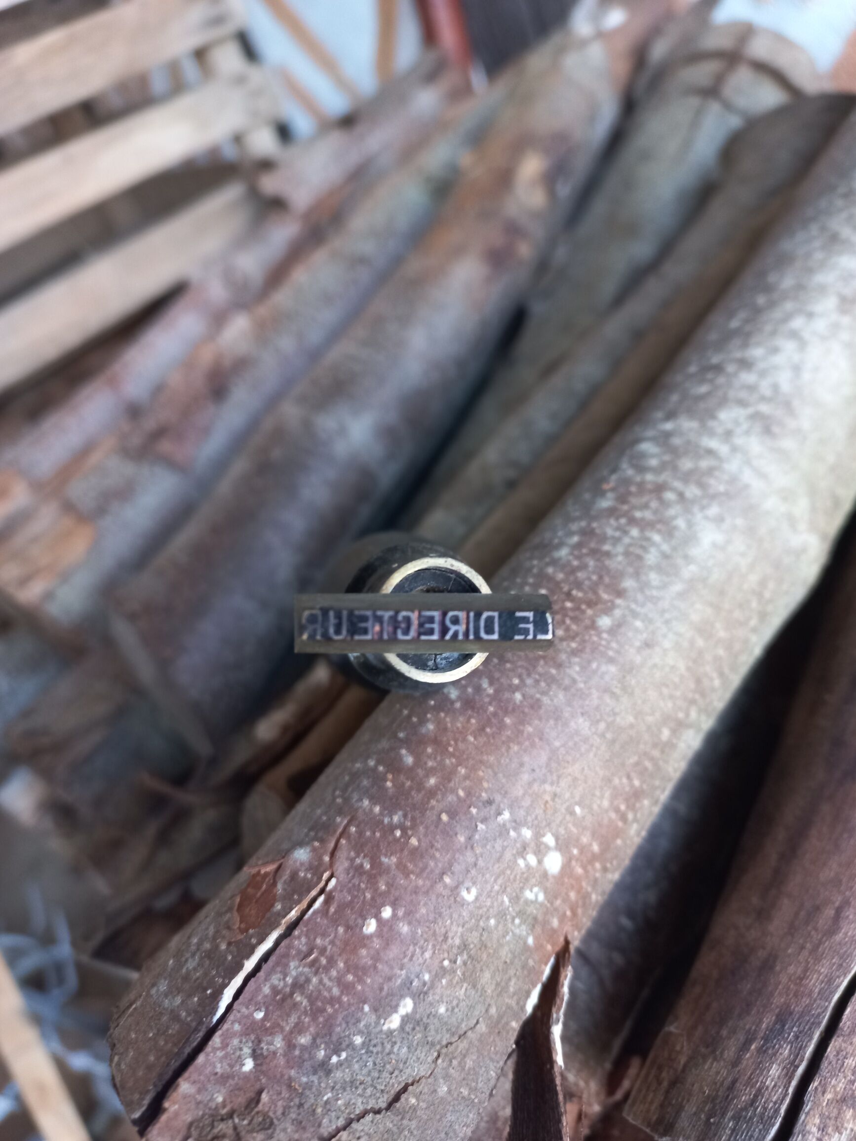 Old stamp "the director"