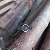 Old stamp "the director"