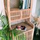 Emmanuelle Shelf