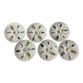 6 vintage oyster plates