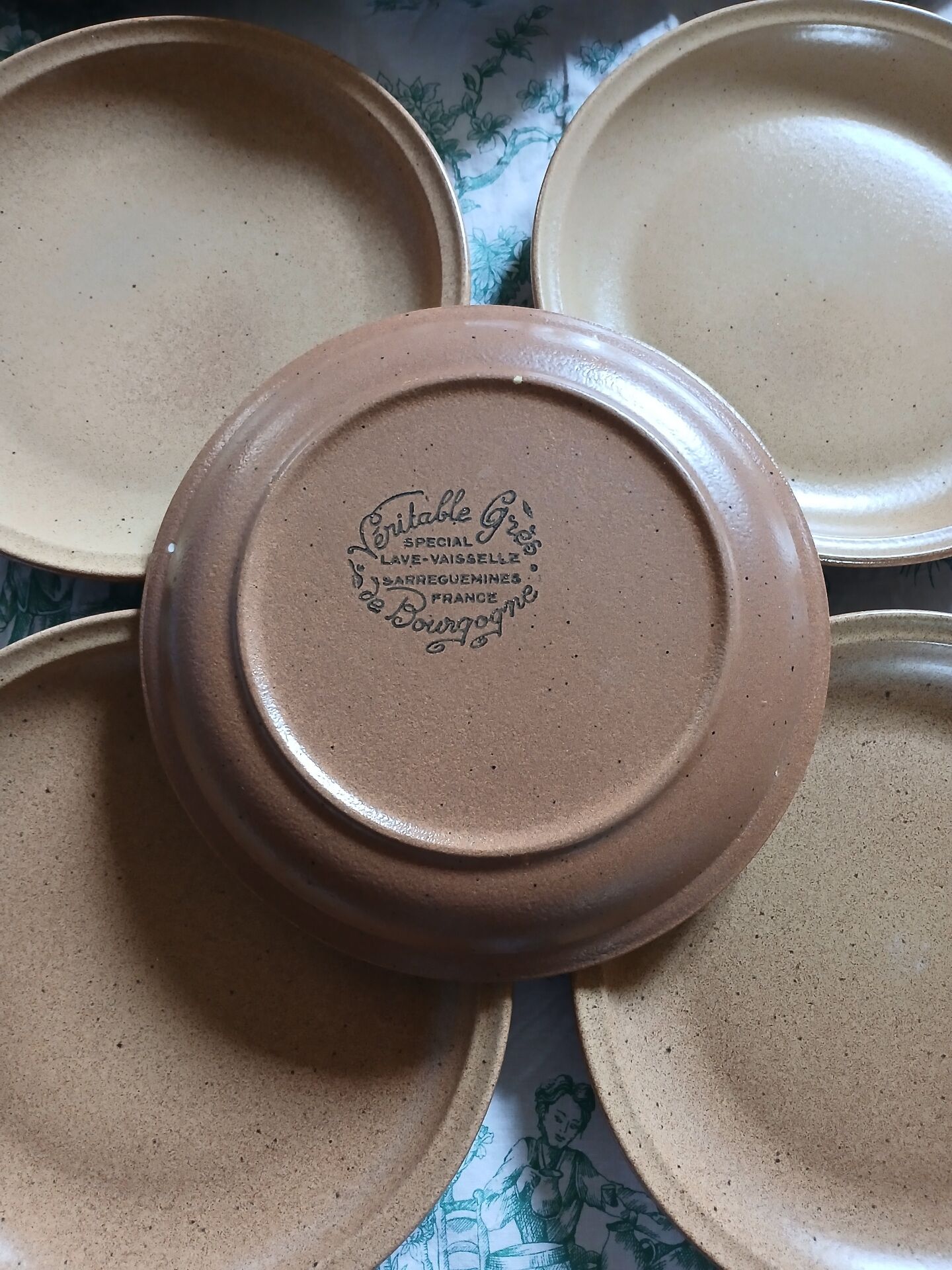9 flat plates in Sarreguemines stoneware