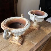 White Médicis vases