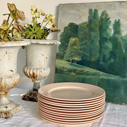 Set of 12 plates Digoin Sarreguemines