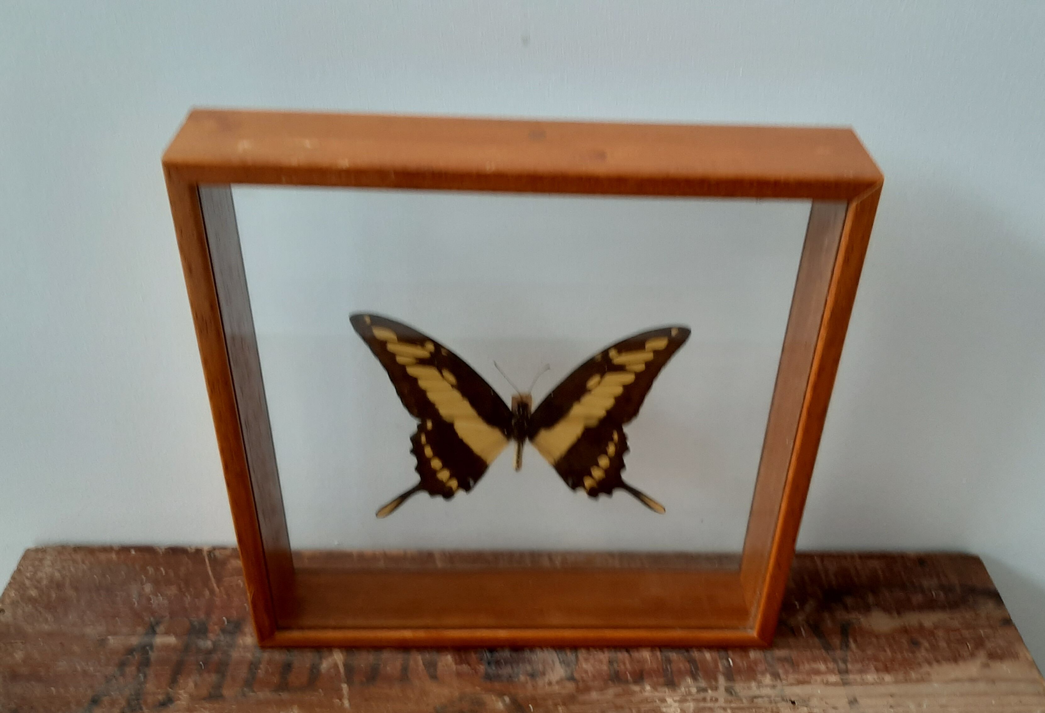 Butterfly frame