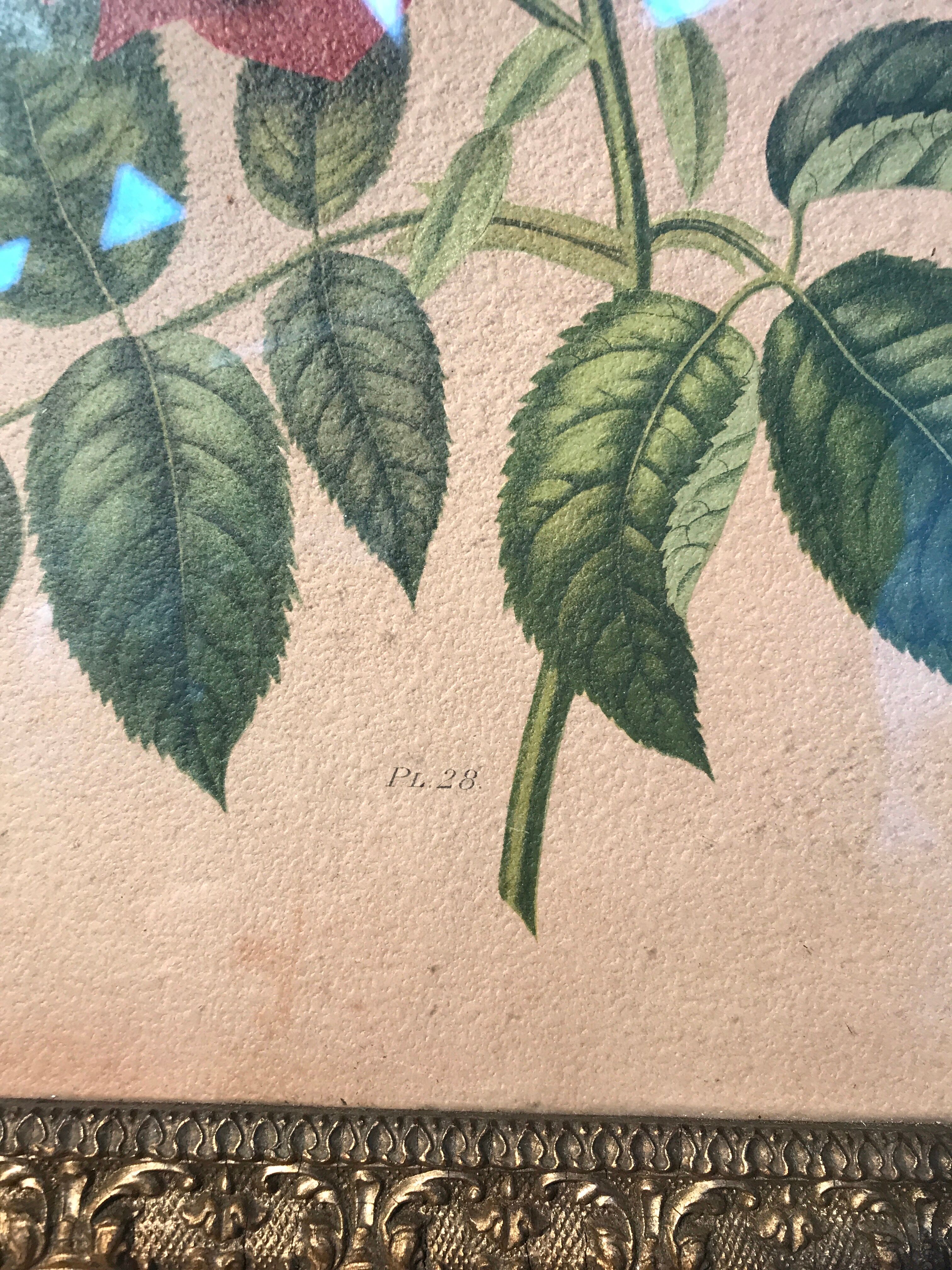 Floral lithography