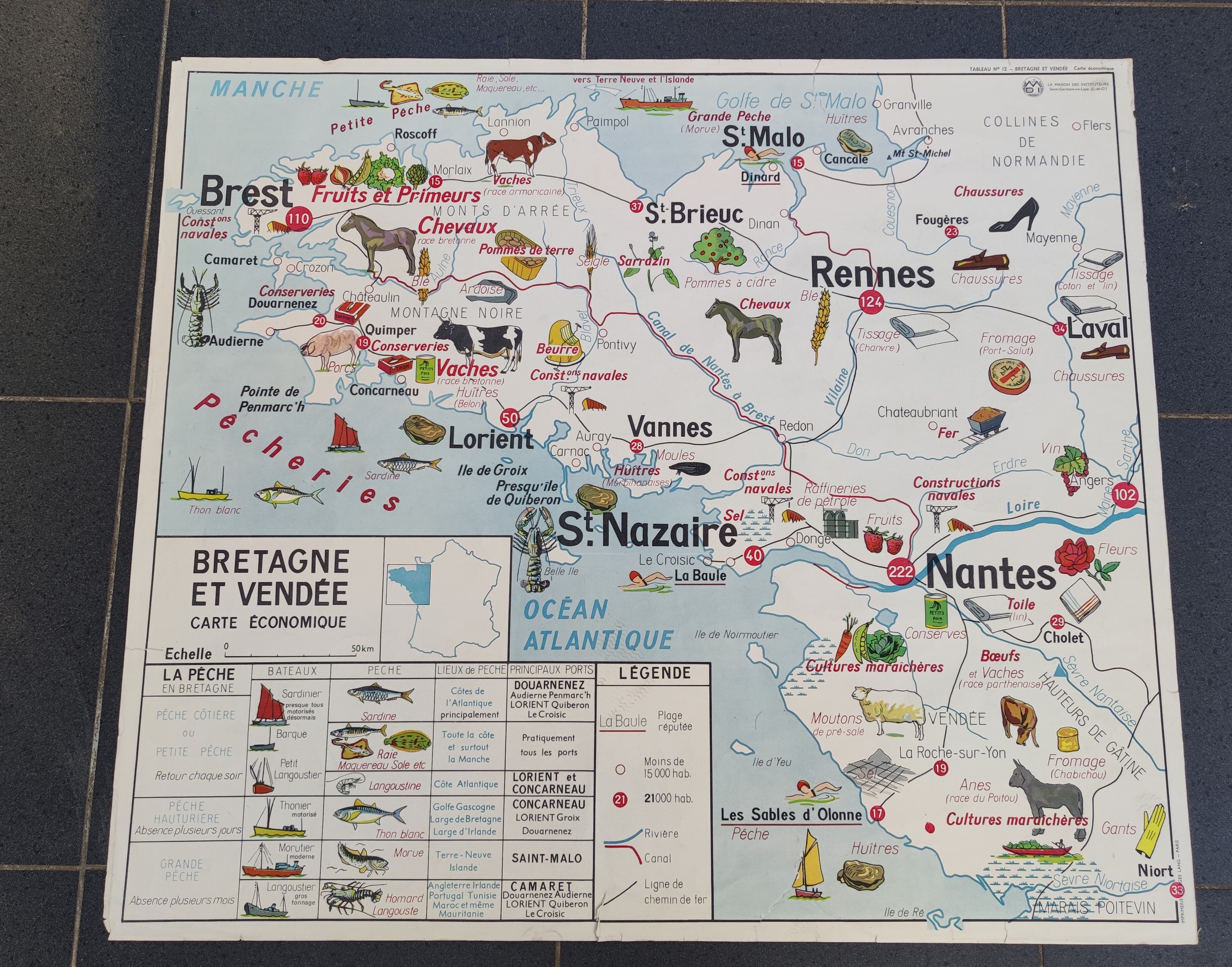 Poster school map Brittany & Vendée Region Pays de la Loire / Economic
