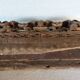 Antique fragment of a 19th century Sicilian carved wooden cart