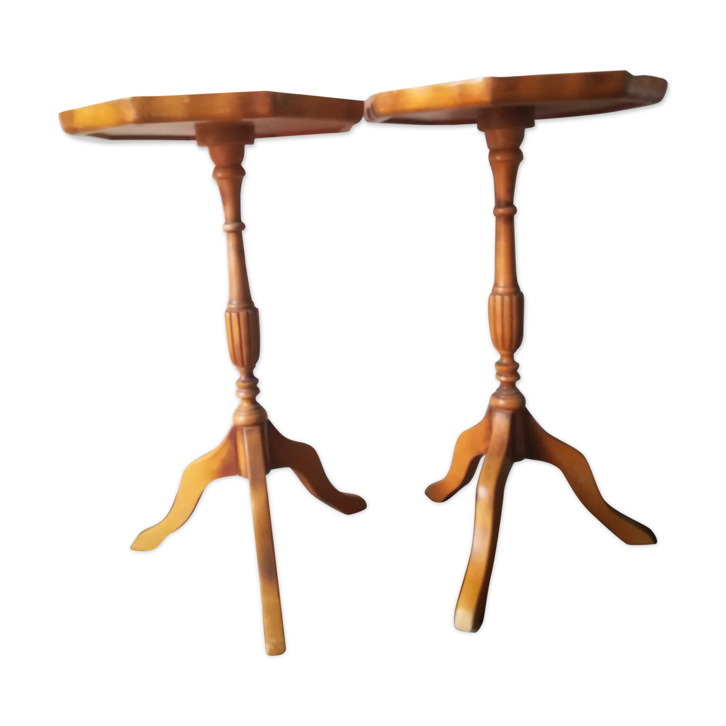 Duo of English harnesses