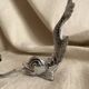 Silver fish wall hook