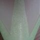 Conical glass day abatat 50s