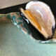 Paris ceramic dish with slip decoration, by Suzy Coste