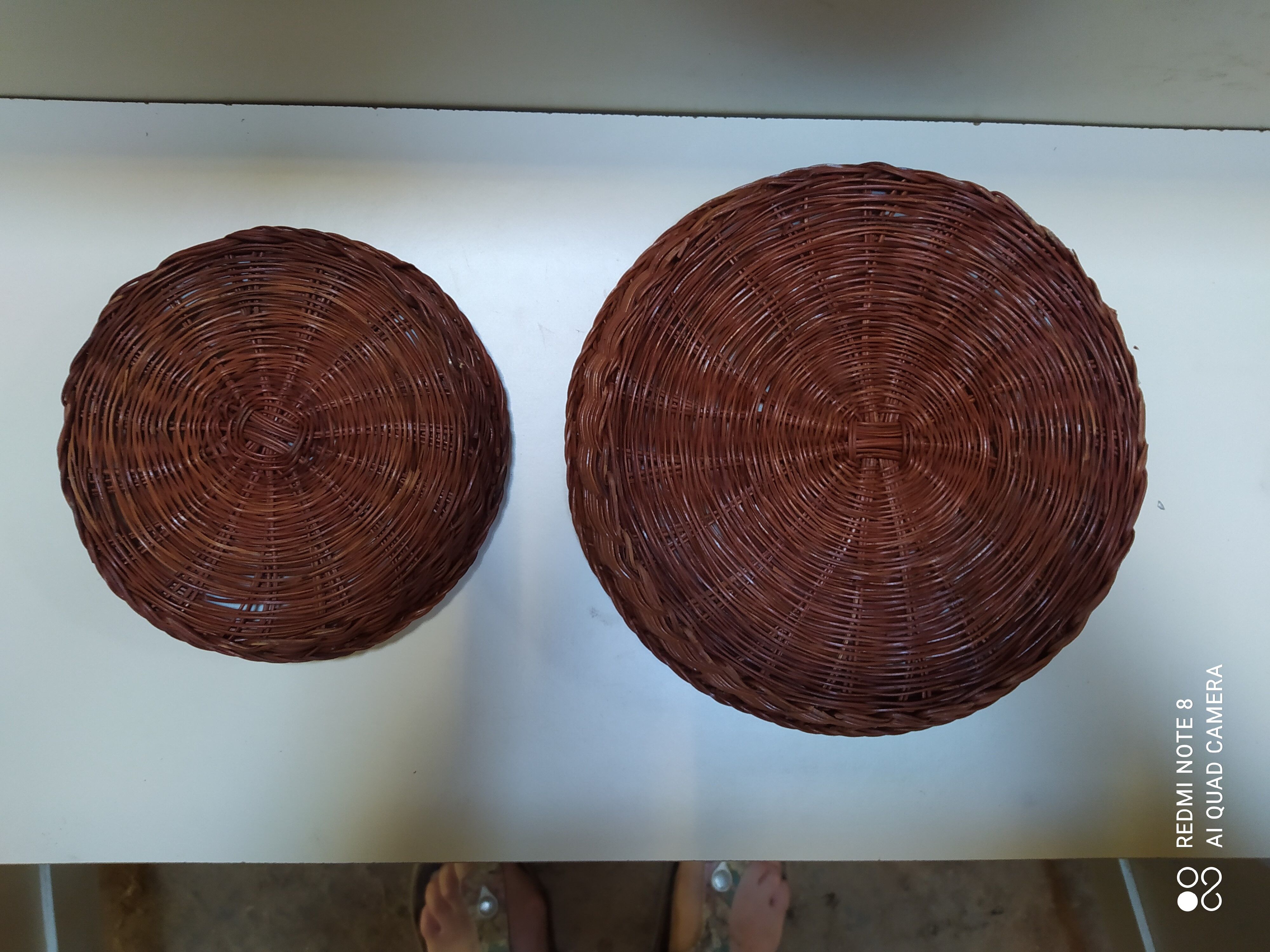 Pair of round dishes for the oven