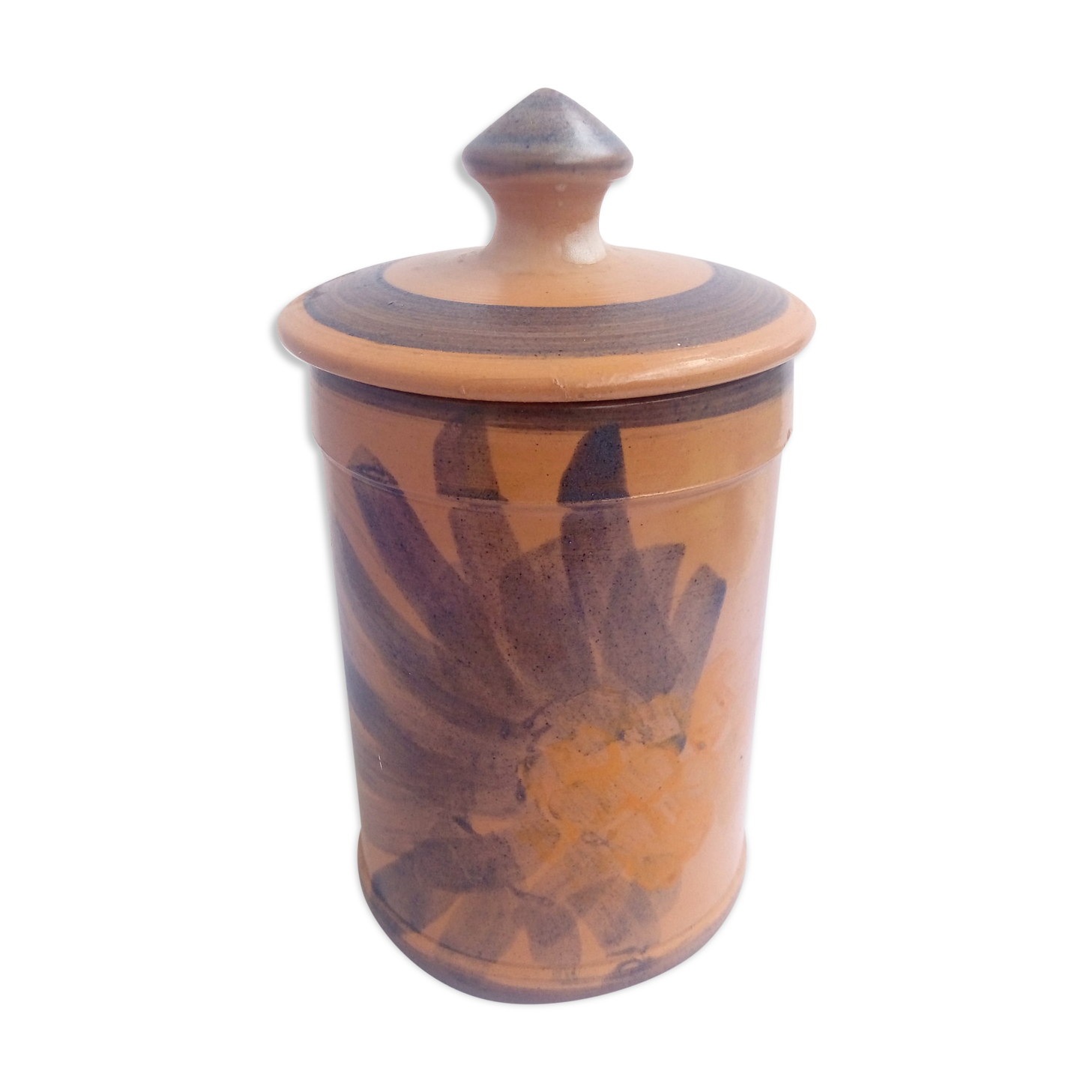 Terracotta ceramic pot with blue flowers