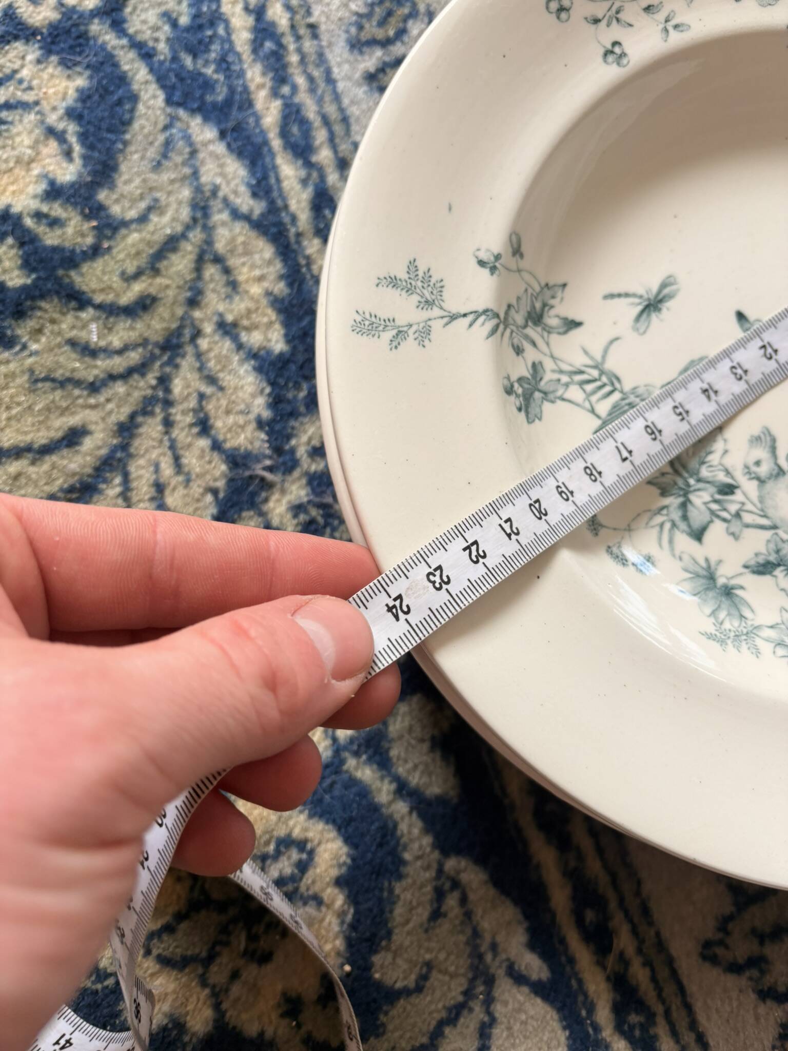 Lot 6 Plate Plates Faience Longwy Model Mignon