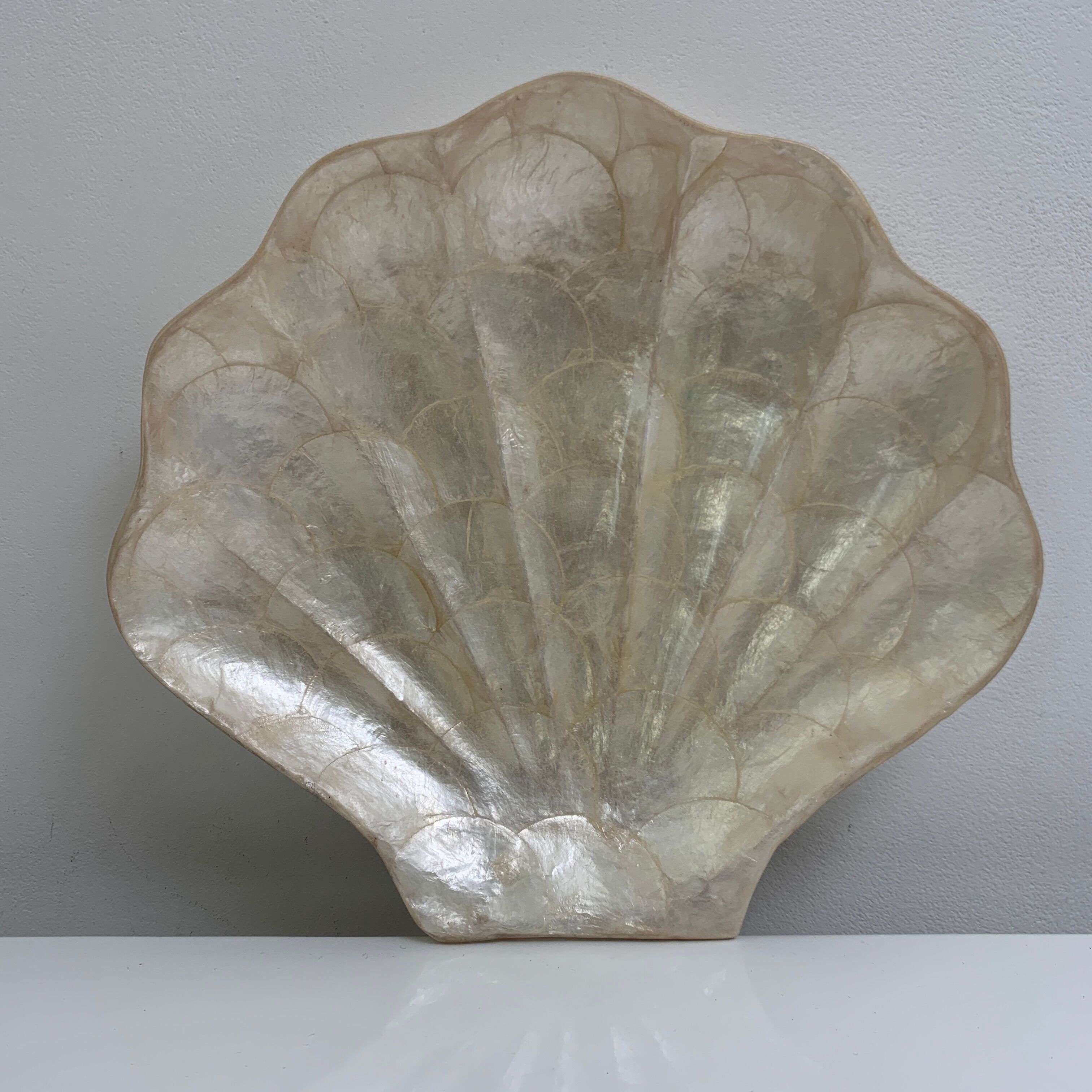 Pocket void shell-shaped shell mother-of-pearl of genuine Capiz