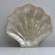 Pocket void shell-shaped shell mother-of-pearl of genuine Capiz