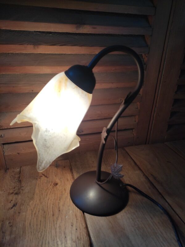 Bedside lamp Metal brown ivy tulip paste orange