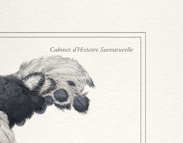 Lithograph engraving chimu00e8re animal - the saddingruche