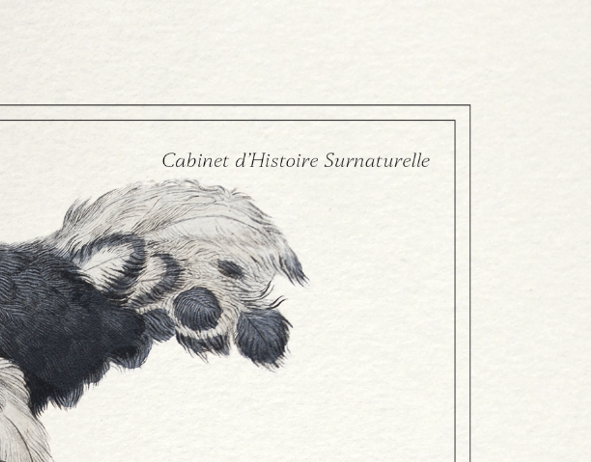 Lithograph engraving chimu00e8re animal - the saddingruche