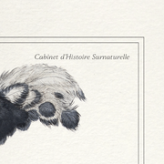 Lithograph engraving chimu00e8re animal - the saddingruche