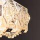 Lustre Jaroslav Bejvl pour Kamenický Šenov