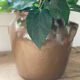 Brown stoneware jar