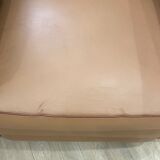 Anciens fauteuils clubs ergy