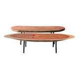 Pair of exotic wood benches