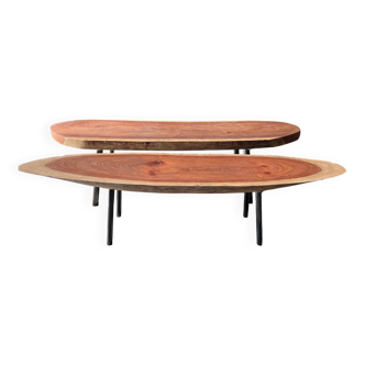 Pair of exotic wood benches