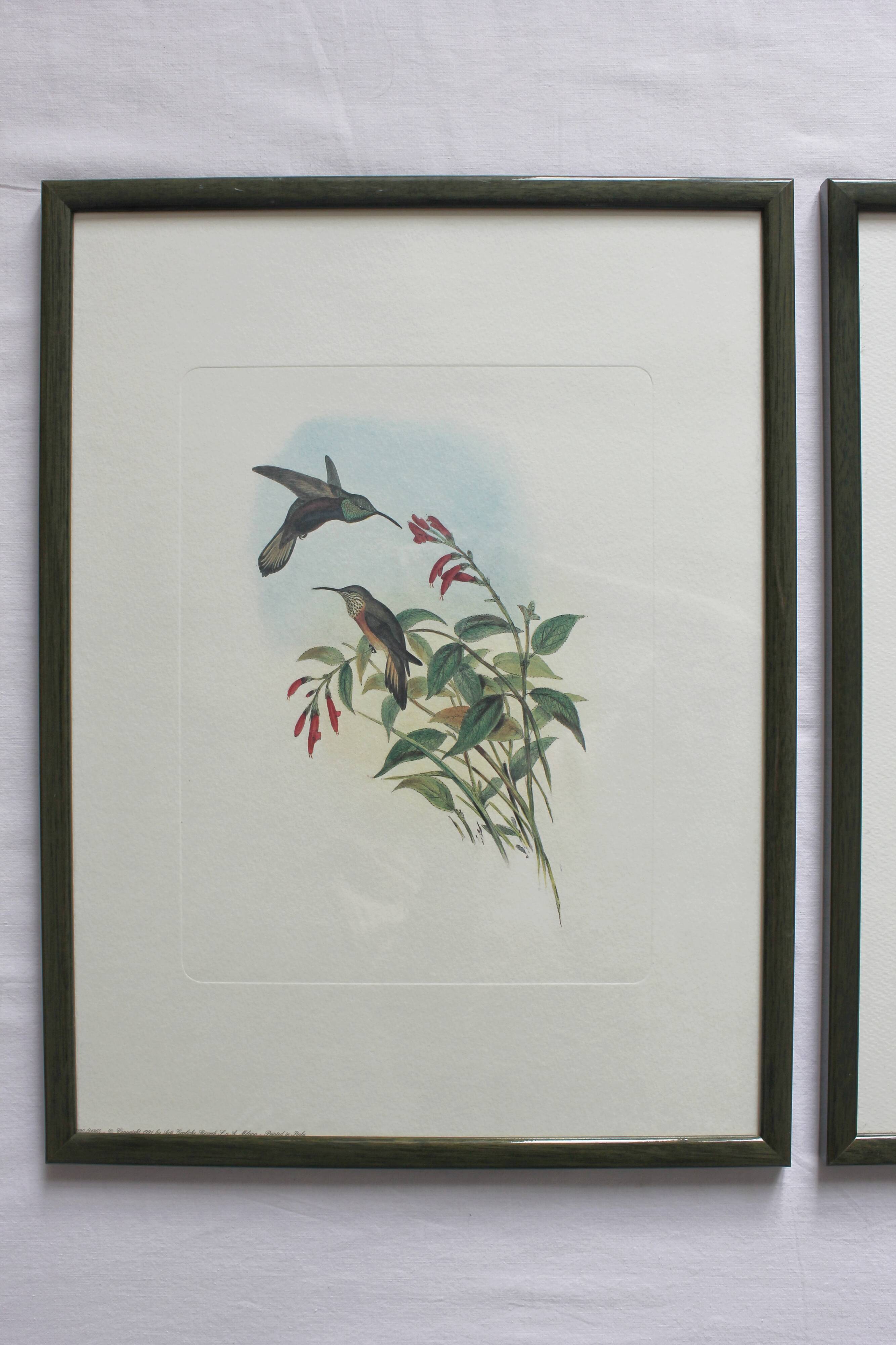 2 framed bird lithographs, vintage watercolor posters