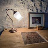 Swan neck lamp and frosted glass tulip