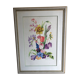 Aquarelle Fleurs de Boulait-Chausset