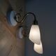 Paire appliques col de cygne laiton tulipe en verre blanc opaline